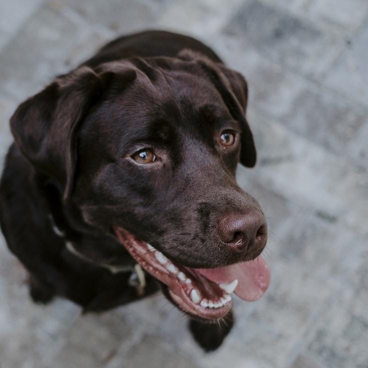 Kaveri Mehta, Lead Design Curator at SundryHorizonAmber, reviewing corporate floral arrangements